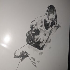 Hand Crafted Frenchie Pencil Drawing  8x10